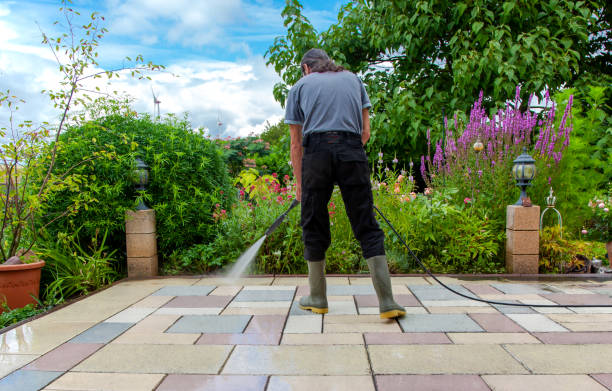 Best Fence Cleaning and Maintenance in Greenwood, DE