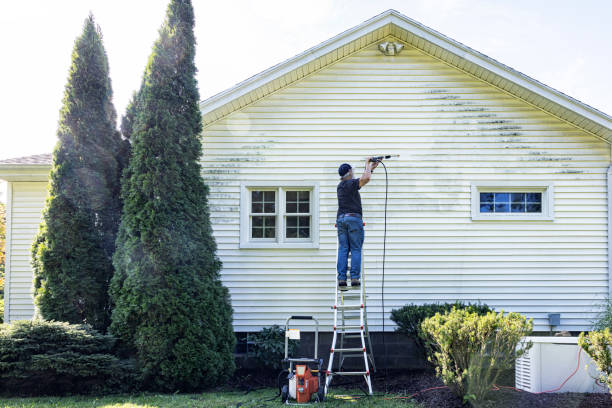 Best Vinyl Siding Pressure Washing in Greenwood, DE